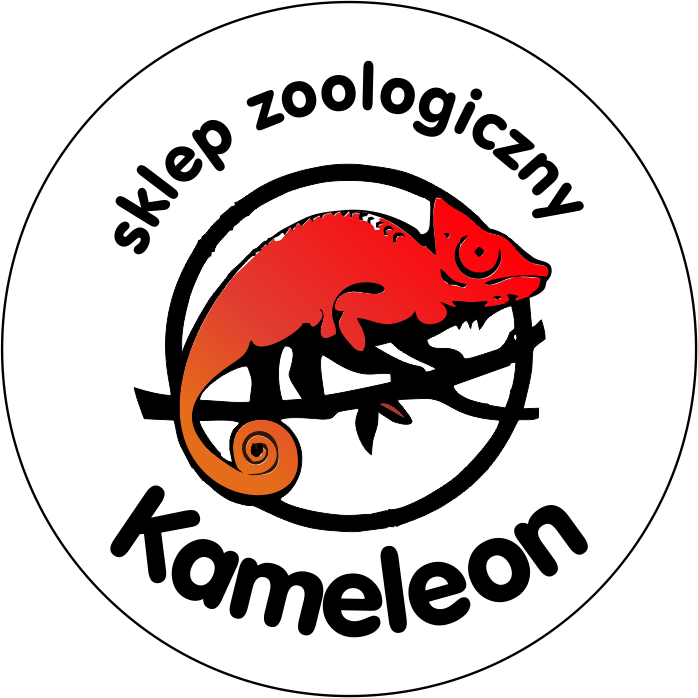 kameleon.bialystok.pl
